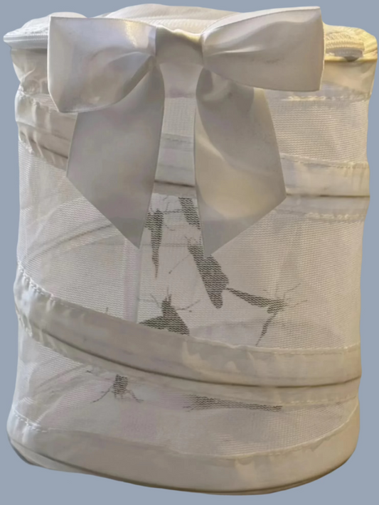 100 Painted Lady Butterflies in an Elegant White Butterfly Cage with Bow ~ Please read IMPORTANT INFO BELOW before placing an order.